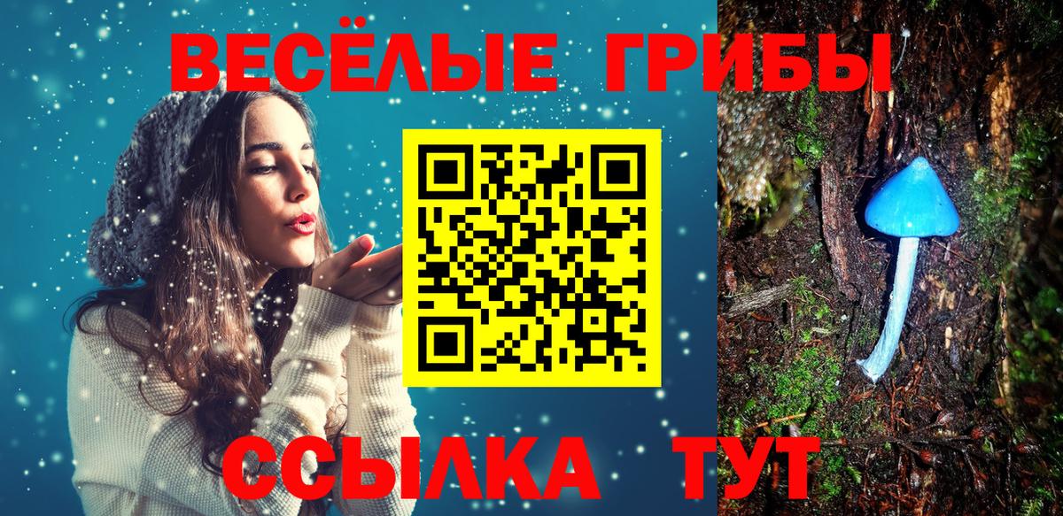 Галлюциногенные грибы MAGIC MUSHROOMS Сызрань