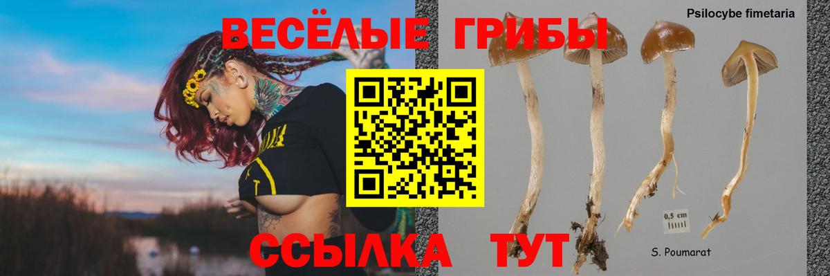 Сызрань  Псилоцибиновые грибы Psilocybine cubensis  Галлюциногенные грибы прущие грибы  Вход с VPN 